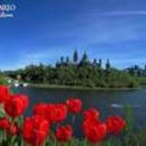 Meet your Posher, Cathy